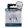 Oxford Skull Valve Caps - Silver -Highnoteperformance Store 5085368 ox766 1 2 3 1000